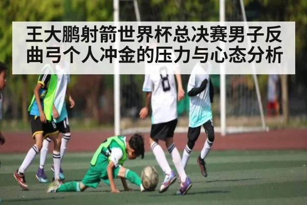 王大鹏射箭世界杯总决赛男子反曲弓个人冲金的压力与心态分析
